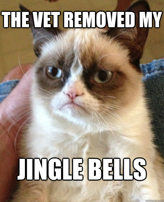 the vet removed my  jingle bells  Grumpy Cat