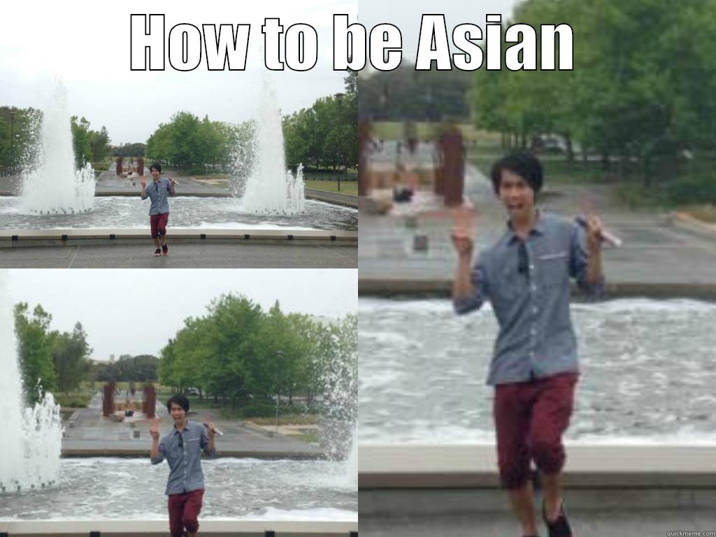 HOW TO BE ASIAN  Misc