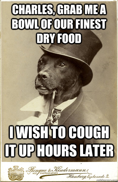 Charles, grab me a bowl of our finest dry food i wish to cough it up hours later  Old Money Dog