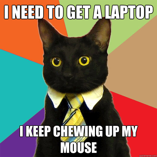 I need to get a laptop I keep chewing up my mouse  Business Cat