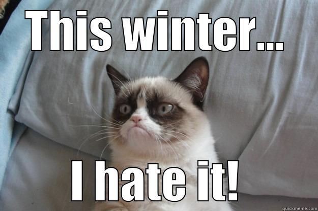 THIS WINTER... I HATE IT! Grumpy Cat