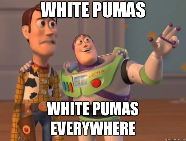 White pumas White pumas everywhere - White pumas White pumas everywhere  Toy Story