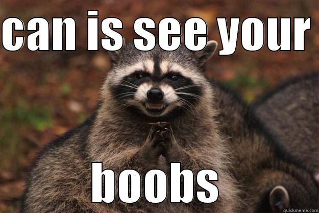 CAN IS SEE YOUR  BOOBS Evil Plotting Raccoon