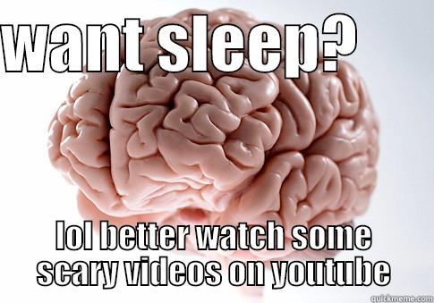 WANT SLEEP?       LOL BETTER WATCH SOME SCARY VIDEOS ON YOUTUBE Scumbag Brain