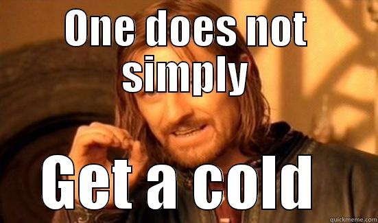 ONE DOES NOT SIMPLY GET A COLD  Boromir