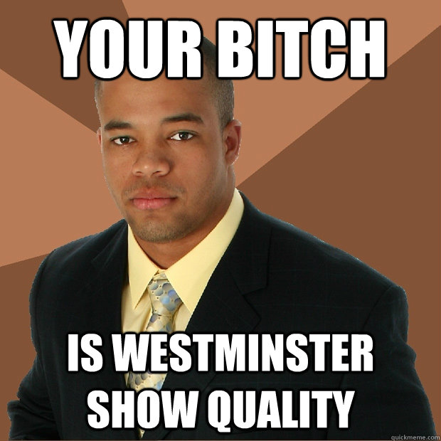 Your bitch Is Westminster show quality  Successful Black Man