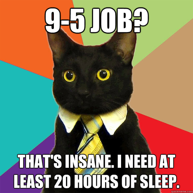 9-5 job? That's insane. I need at least 20 hours of sleep.  Business Cat