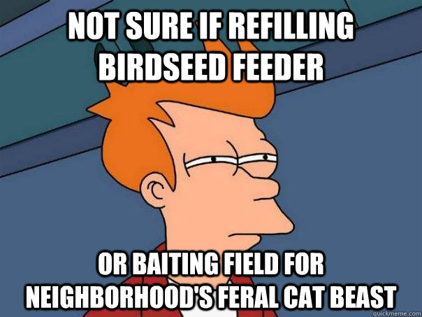 Not sure if refilling birdseed feeder Or baiting field for neighborhood's feral cat beast  Futurama Fry