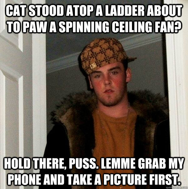 Cat stood atop a ladder about to paw a spinning ceiling fan? Hold there, puss. lemme grab my phone and take a picture first. - Cat stood atop a ladder about to paw a spinning ceiling fan? Hold there, puss. lemme grab my phone and take a picture first.  Scumbag Steve