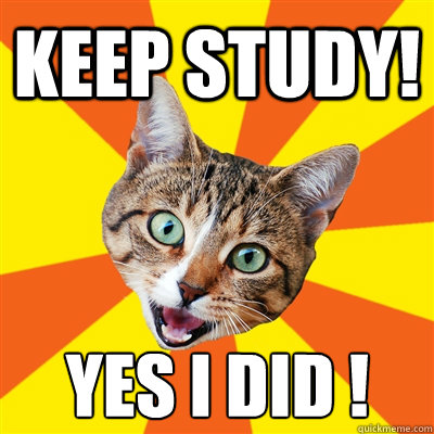 Keep Study! Yes i Did !  Bad Advice Cat