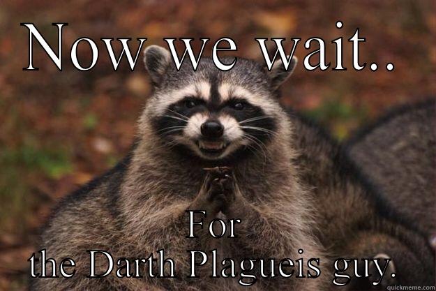 NOW WE WAIT.. FOR THE DARTH PLAGUEIS GUY. Evil Plotting Raccoon