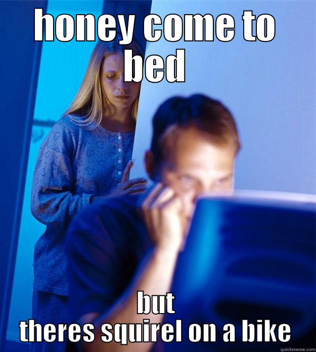 HONEY COME TO BED BUT THERES SQUIREL ON A BIKE Redditors Wife