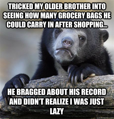 tricked my older brother into seeing how many grocery bags he could carry in after shopping... he bragged about his record and didn't realize i was just lazy - tricked my older brother into seeing how many grocery bags he could carry in after shopping... he bragged about his record and didn't realize i was just lazy  Confession Bear