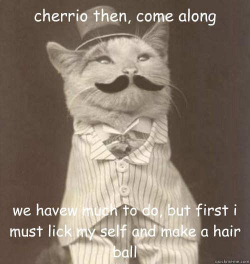 cherrio then, come along we havew much to do, but first i must lick my self and make a hair ball  Original Business Cat