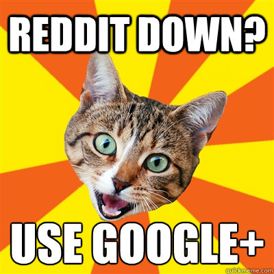 reddit down? use google+  Bad Advice Cat