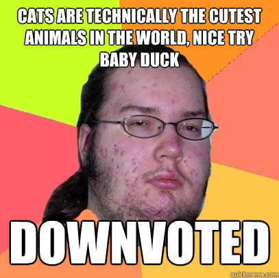 Cats are technically the cutest animals in the world, nice try baby duck downvoted  Butthurt Dweller