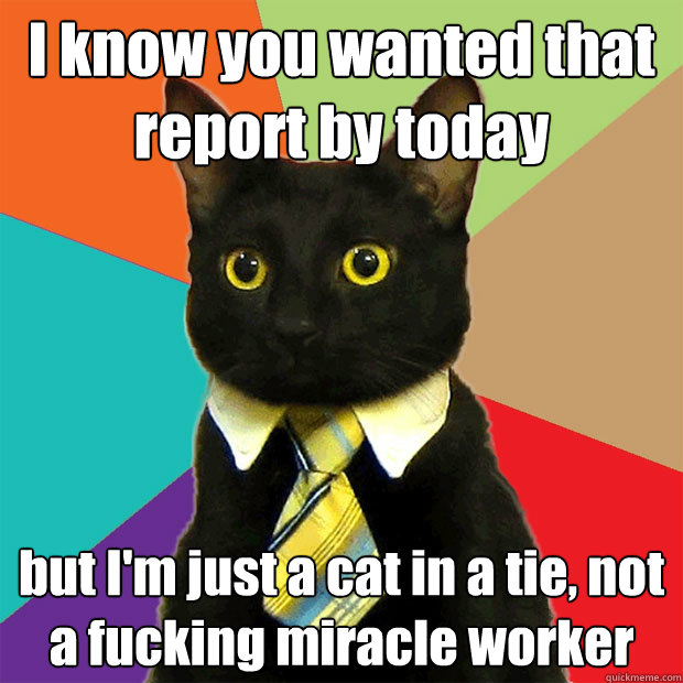 I know you wanted that report by today but I'm just a cat in a tie, not a fucking miracle worker  Business Cat