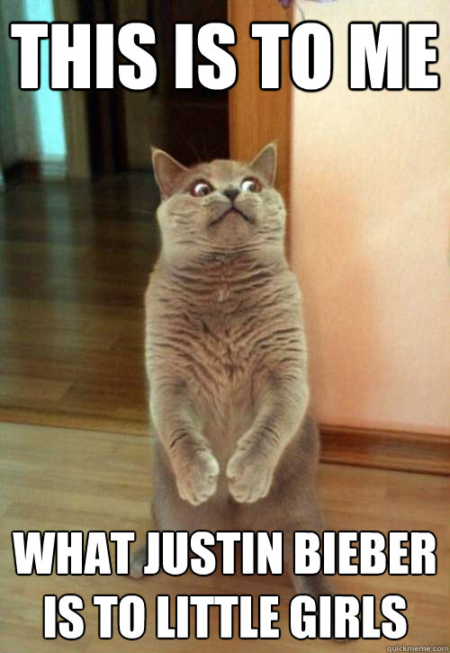 THIS IS TO ME WHAT JUSTIN BIEBER IS TO LITTLE GIRLS  Horrorcat