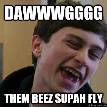 Dawwwgggg them beez supah fly  