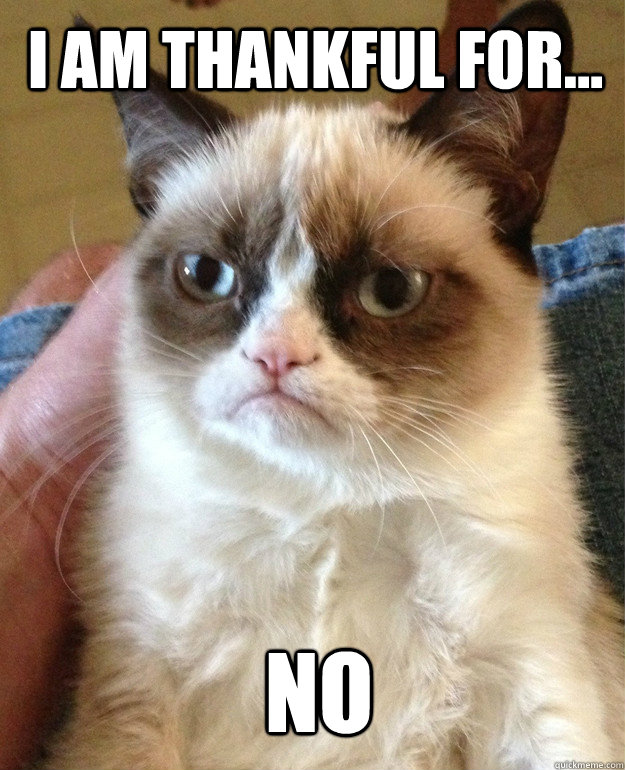 I am thankful for... No  Grumpy Cat