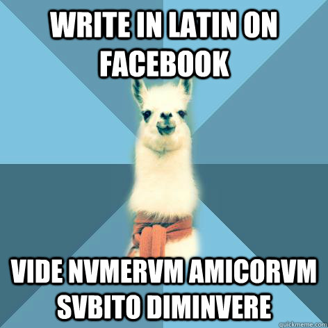 Write in Latin on Facebook Vide Nvmervm Amicorvm svbito diminvere  Linguist Llama