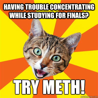 Having trouble concentrating while studying for finals? Try meth!  Bad Advice Cat