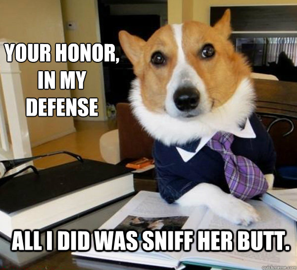 Your honor,
In my defense All I did was sniff her butt.  Lawyer Dog