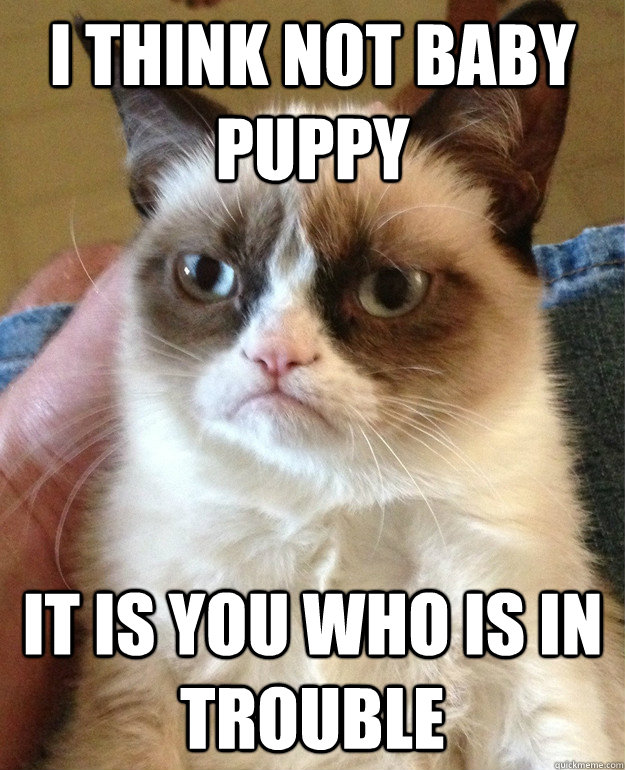 I think not baby puppy It is you who is in trouble  Grumpy Cat