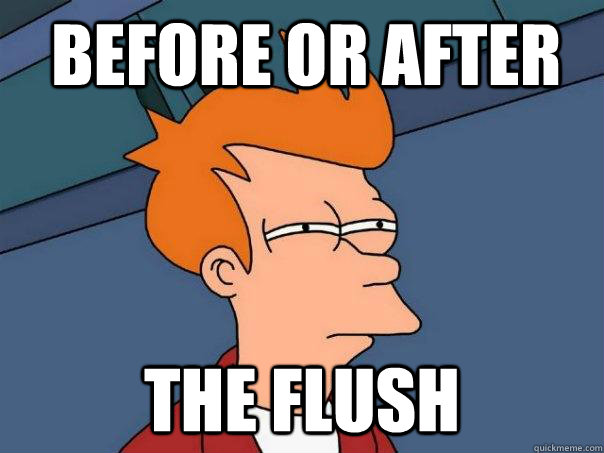 BEFORE OR AFTER THE FLUSH  Futurama Fry