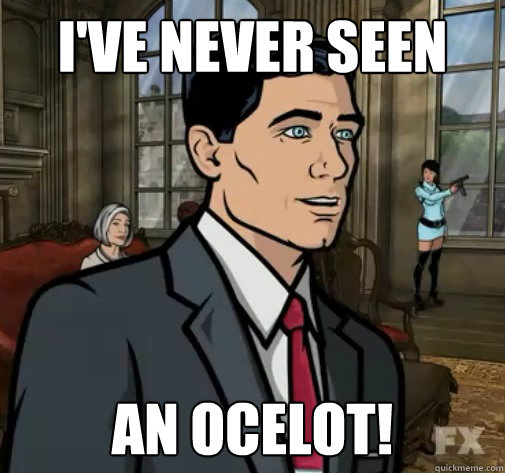 I've Never Seen An Ocelot! - I've Never Seen An Ocelot!  Archer Ocelot