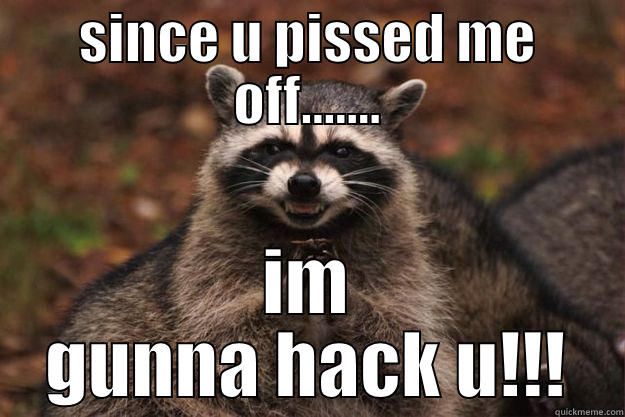 SINCE U PISSED ME OFF....... IM GUNNA HACK U!!! Evil Plotting Raccoon