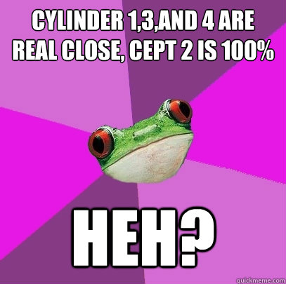 Cylinder 1,3,and 4 are real close, cept 2 is 100% heh?  Foul Bachelorette Frog