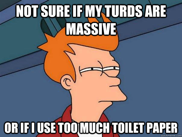 Not sure if my turds are massive Or if I use too much toilet paper - Not sure if my turds are massive Or if I use too much toilet paper  Futurama Fry