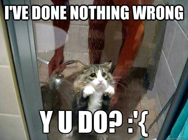 I've done nothing wrong Y U DO? :'{
 - I've done nothing wrong Y U DO? :'{
  Shower kitty