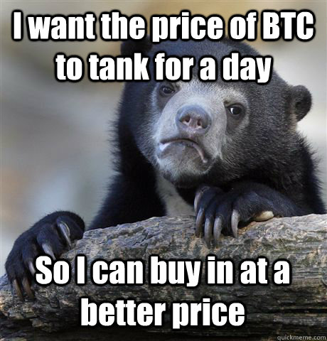 I want the price of BTC to tank for a day So I can buy in at a better price - I want the price of BTC to tank for a day So I can buy in at a better price  Confession Bear