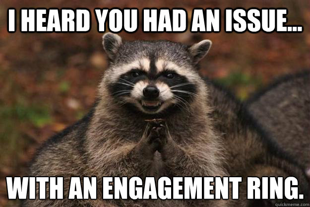 I heard you had an issue... with an engagement ring.  Evil Plotting Raccoon