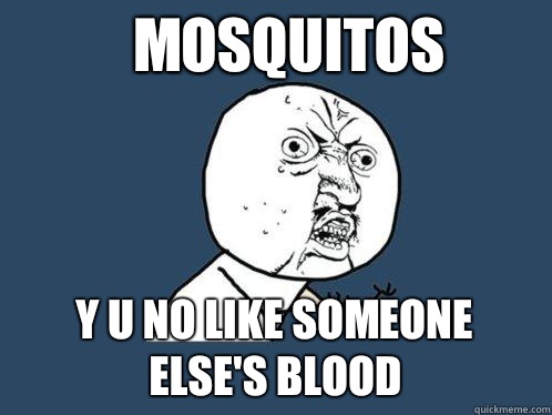 mosquitos Y u no like someone else's blood  Y U No