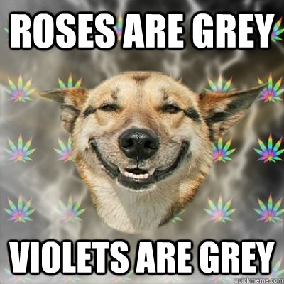 ROSES ARE GREY VIOLETS ARE GREY - ROSES ARE GREY VIOLETS ARE GREY  Stoner Dog