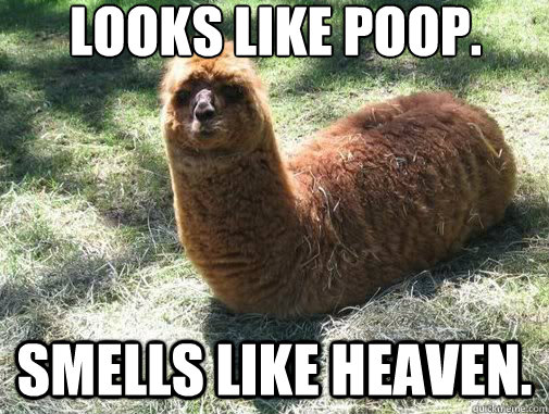 Looks like poop. Smells like heaven. - Looks like poop. Smells like heaven.  Alpacapillar