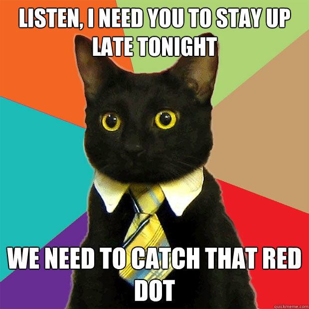 listen, i need you to stay up late tonight We need to catch that red dot  Business Cat