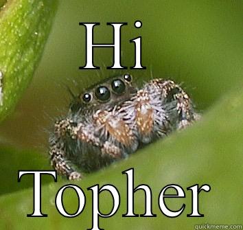 HI TOPHER Misunderstood Spider