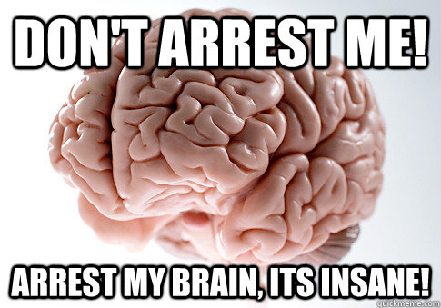 don't arrest me! arrest my brain, its insane!  Scumbag Brain