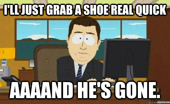 I'll just grab a shoe real quick AAAAND he's gone.  aaaand its gone