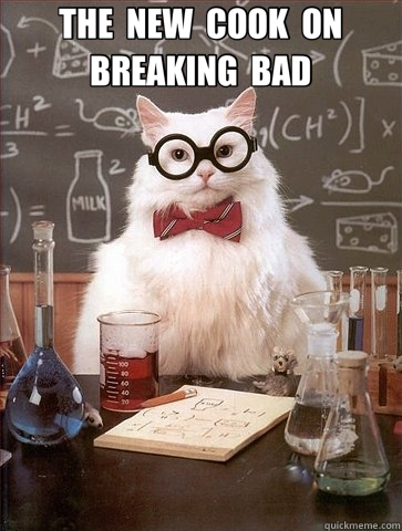 THE  NEW  COOK  ON  BREAKING  BAD   Chemistry Cat