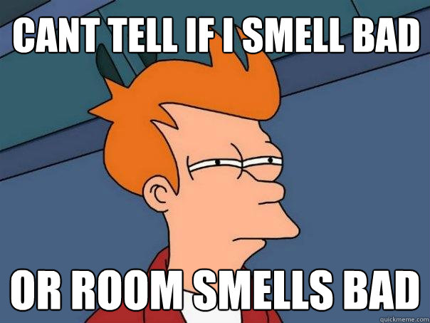 Cant tell if i smell bad or room smells bad  Futurama Fry