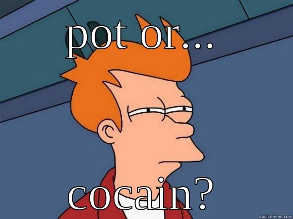 POT OR... COCAIN? Futurama Fry