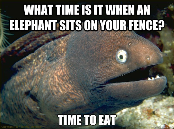 What time is it when an elephant sits on your fence? Time to Eat  Bad Joke Eel