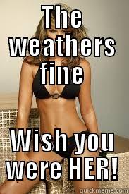 THE WEATHERS FINE WISH YOU WERE HER! Misc