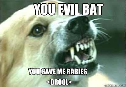 You evil bat You gave me rabies <Drool> - You evil bat You gave me rabies <Drool>  Rabies Dog lolz