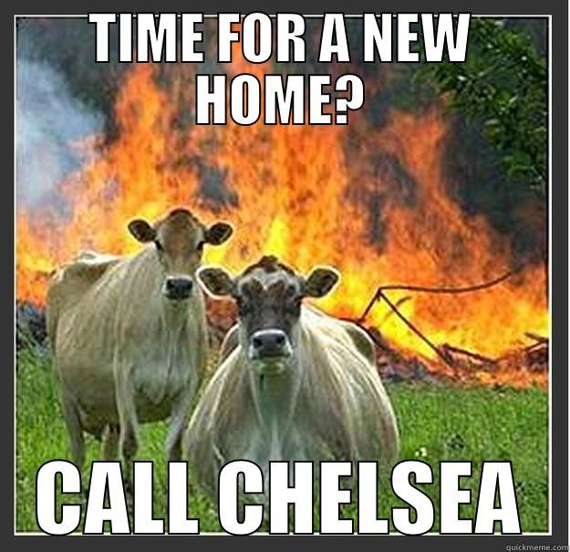 TIME FOR A NEW HOME? CALL CHELSEA Evil cows